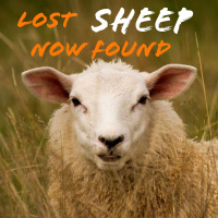 Lost Sheep Now Found