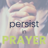 Persist in Prayer