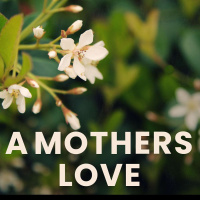A Mothers Love