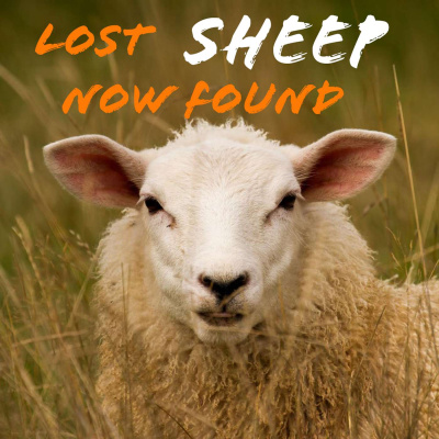 Douglas Bradleys Podcast