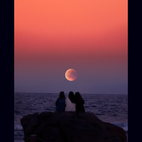 2.2.42A《此心安处是吾乡》