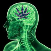 My Mind On Weed Rant- This Cant Be Good