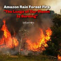 The Earth Is Dying- Amazon Rainforest amp Wildlife Deaths