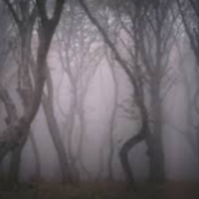 Fear In The Southwest