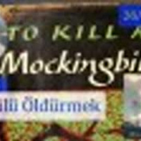 Videon - Bülbülü Öldürmek - Kitap Analizi - Niyazi Sanlı