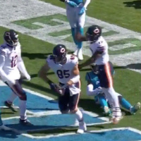 169: Bears 23 Panthers 16