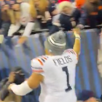 Bears Hang On vs Arizona