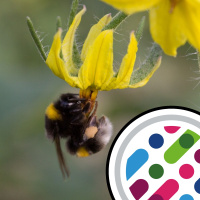 Bees cant taste pesticides, and how albatrosses get aloft