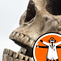 Dragon Man skull: our closest relative?