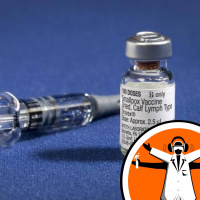 Two Zika vaccine candidates discovered