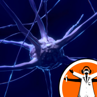 Understanding neurodegeneration mechanisms in disease