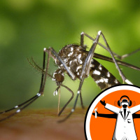 Toothpaste Ingredient Fights Malaria