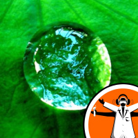 Where is Earths Freshwater Going?