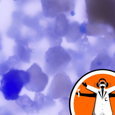 Naked Scientists Special Editions Podcast