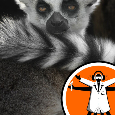 Naked Scientists Special Editions Podcast