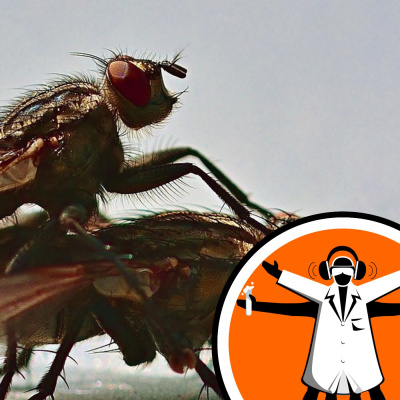 Naked Scientists Special Editions Podcast