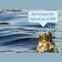 Instagram Episode 2 - Sind Bots legal? Und was ist eigentlich IGTV?
