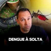 Dengue fora de controle ⛑️