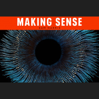 #264 - Consciousness and Self (Rebroadcast)