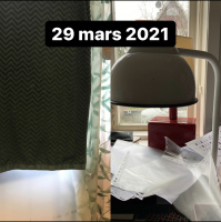 29 mars 2021