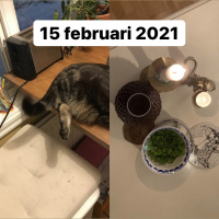 15 februari 2021