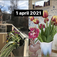 1 april 2021