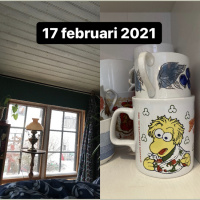 17 februari 2021