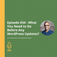 Episode #34 - What You Need to Do Before Any WordPress Updates?