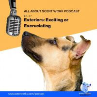 Exteriors: Exciting or Excruciating