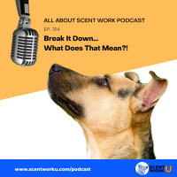 Break It Down...What Does That Mean?!