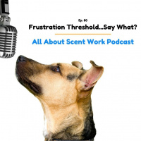 Frustration Threshold...Say What?!
