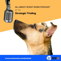 Strategic Trialing