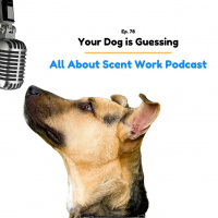 Your Dog is Guessing