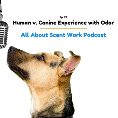 All About Scent Work Podcast