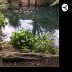 Christopher Richards Talks