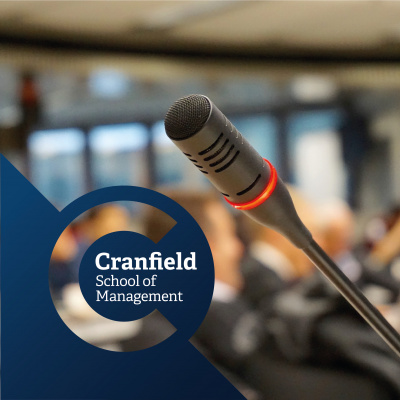 Executive Development Insight