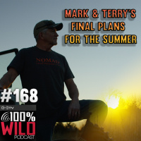 Mark  Terry Drurys Finishing Touches on Summer