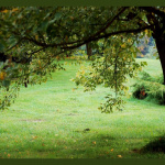 Allting Är Relativt