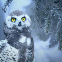 07.02.19 - Cachen im Schnee
