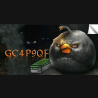 29.01.24 - Cotw: Das verfluchte Birdyhouse