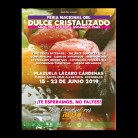 T. 04 Cap. 87 María de Jesús Peredo, FERIA NAL. DEL DULCE CRISTALIZADO, en Los Productores.