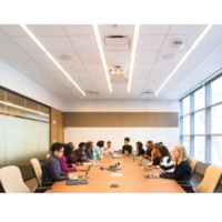 Uso de la forma Used to y principales adbverbios con los que se utiliza. Vocabulario básico para reuniones