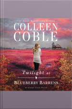 Twilight At Blueberry Barrens