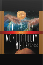 Fearfully And Wonderfully Made