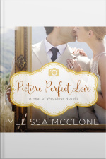 Picture Perfect Love: A June Wedding Story