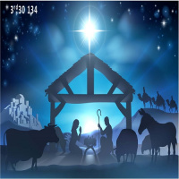 Merry Christmas and Happy Holidays 2021
