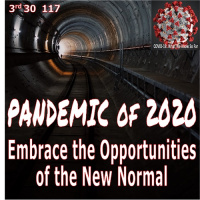 PANDEMIC of 2020 The Best Reasons to Embrace the Opportunities of the New Normal