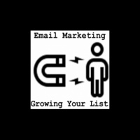3rd30 076: MAKING MONEY ONLINE: Growing A Profitable Email List - Chapter 5