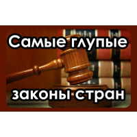 Самые глупые законы мира