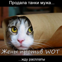 Жены против WOT